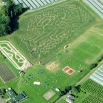 Stunning Cairnie mega maze grows skyward